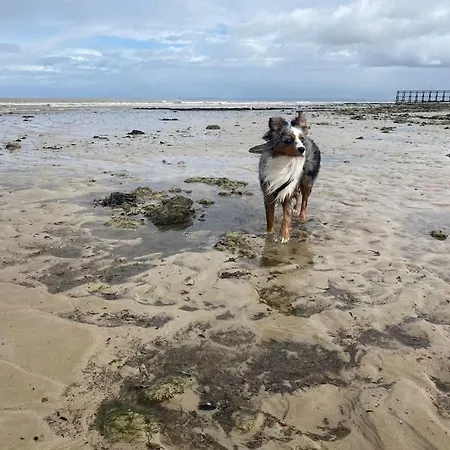 Le Domaine Des Roses Normandie * Foulognes