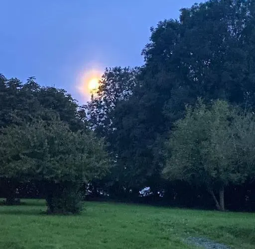 Holiday home Le Domaine Des Roses Normandie