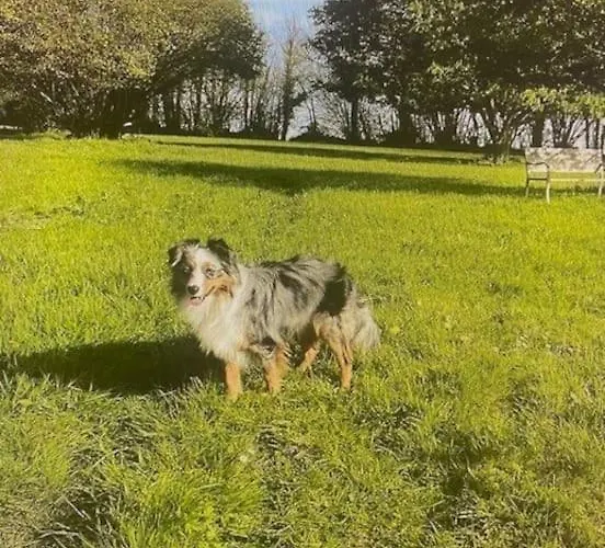 Holiday home Le Domaine Des Roses Normandie