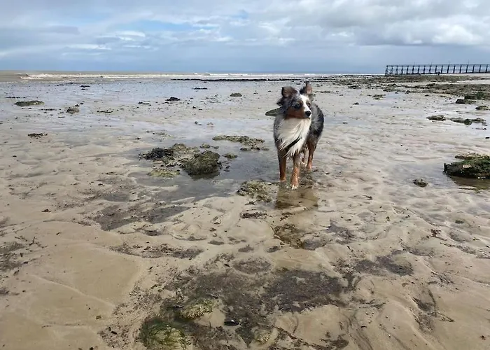 Le Domaine Des Roses Normandie * Foulognes