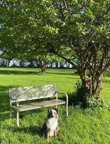 Holiday home Le Domaine Des Roses Normandie Foulognes